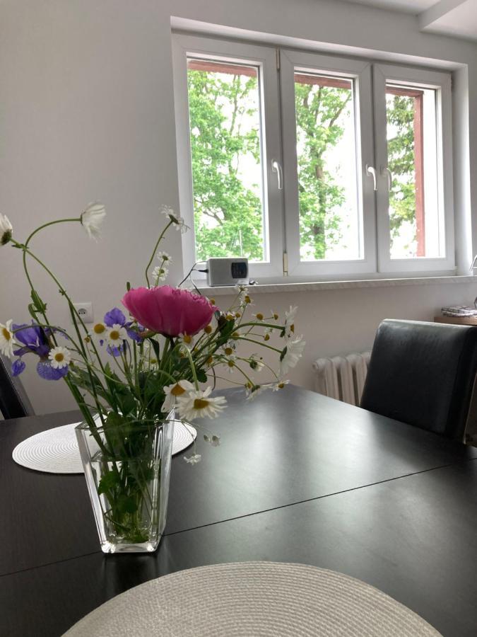 Apartament Karolewo Karolewo  외부 사진